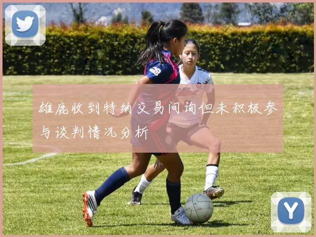 雄鹿收到特纳交易问询但未积极参与谈判情况分析